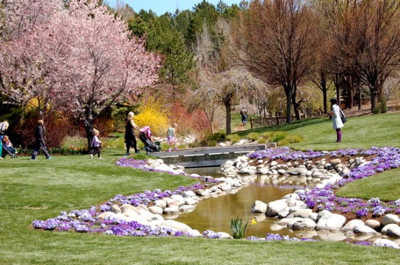 The Creek Garden with lovely flowering trees.