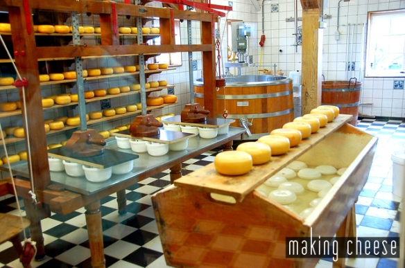 The Zaanse Schans cheese display.