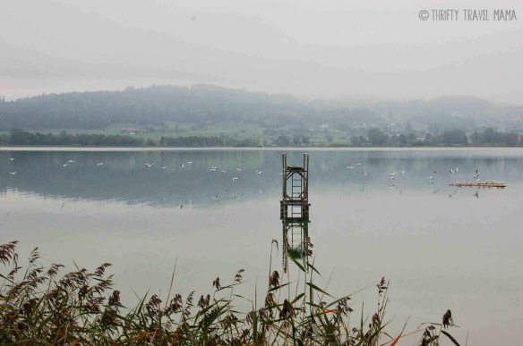 A diving board in the middle of the lake.. abandoned in autumn.