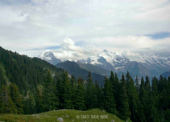 Thrifty Travel Mama | Hiking from Schynige Platte to First, Switzerland